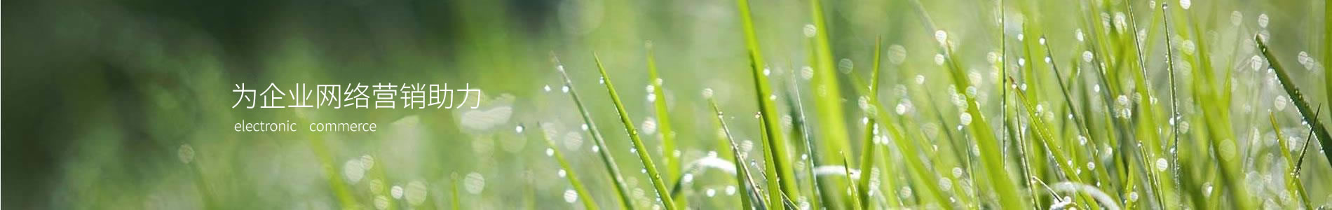 ݸа·޹˾